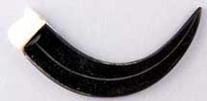 B285 Black Horn Bear Claw