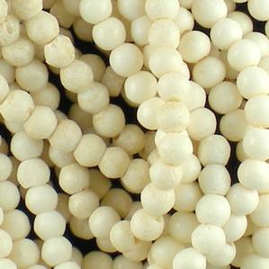 B40 6mm Round Shaped Bone