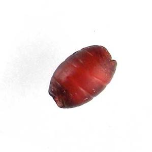 CDA-11 Conaline d'Aleppo