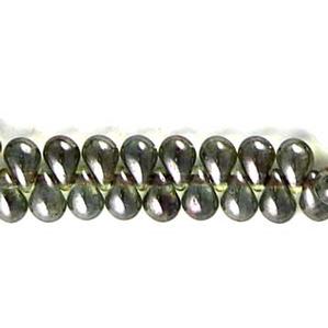 G55X-647 Tiny Tim Teardrops - Olive Luster