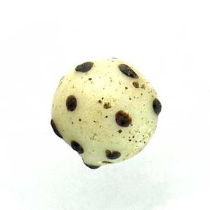 HE-1 Venetian Horned Eye Beads