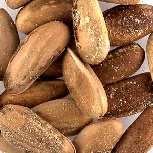 PN3T Large Tumbled Pine Nuts