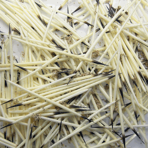PQ2 Porcupine Quills - Small