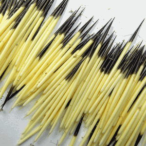 PQ4 Porcupine Quills - Large