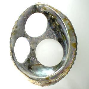 S22 Abalone Shell Dream Catcher - 3 Hole