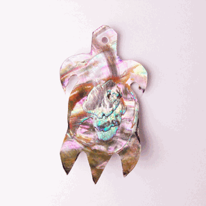 S23-2 Abalone Turtle